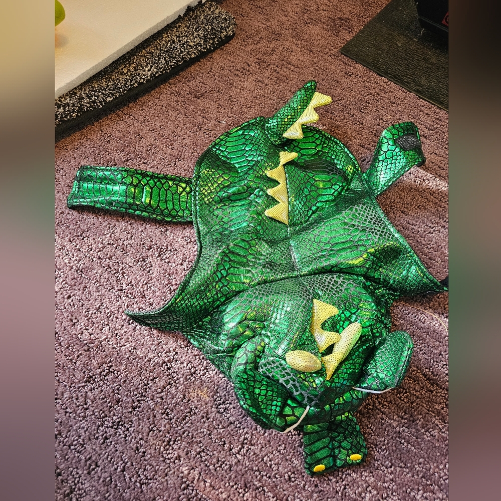 Green Reptile Costume for Pets